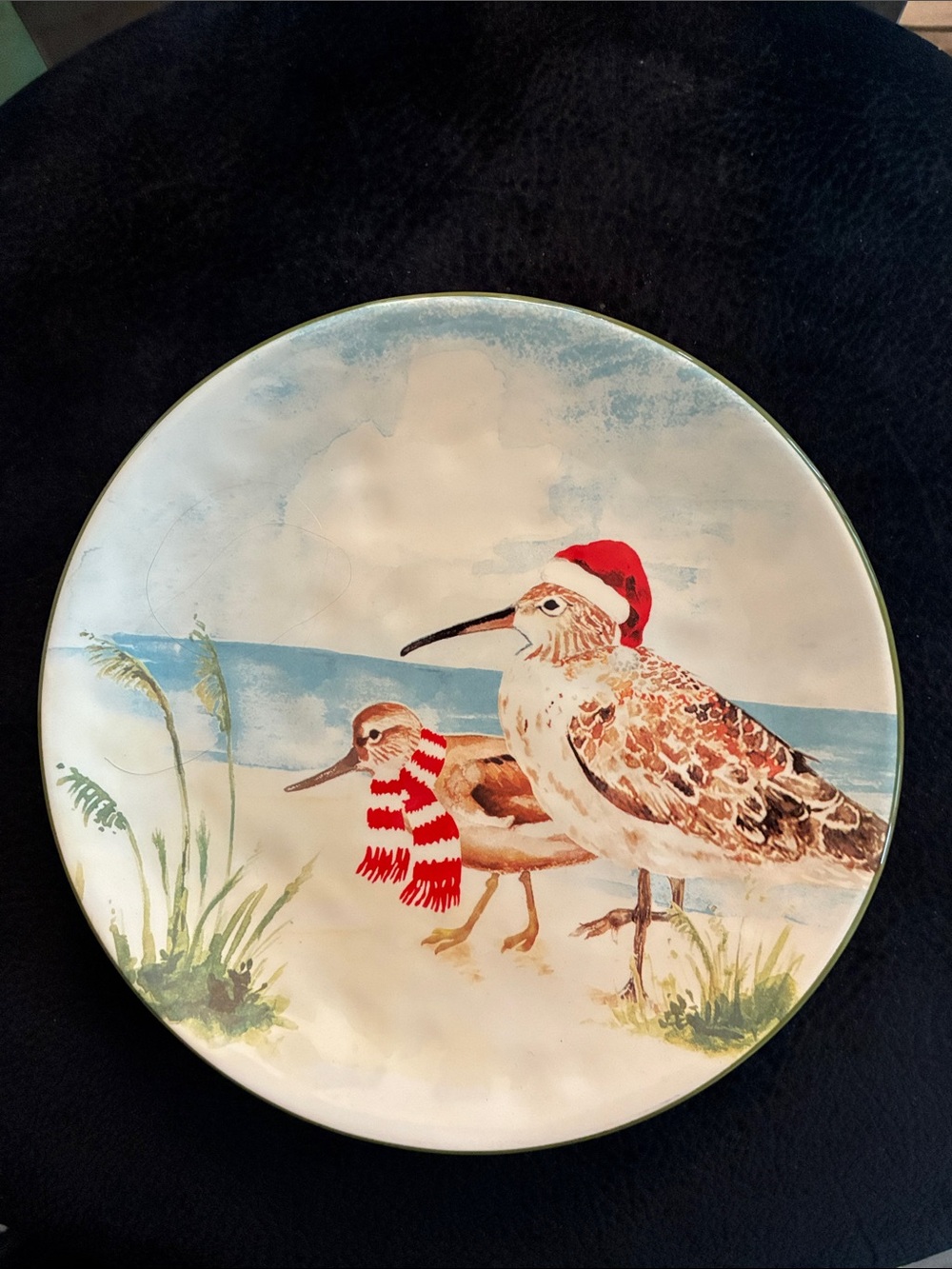 NEW Pier 1 Sandpiper On The Beach Christmas Salad Plate